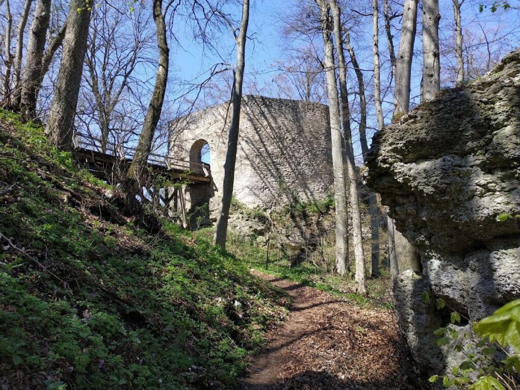 Ruine Diepoldsburg: A Medieval Double Castle in Germany 5 Ruine Diepoldsburg