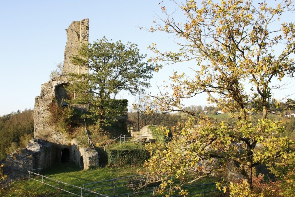Burg Hals: A Medieval Hilltop Castle in Germany 5 Burg Hals