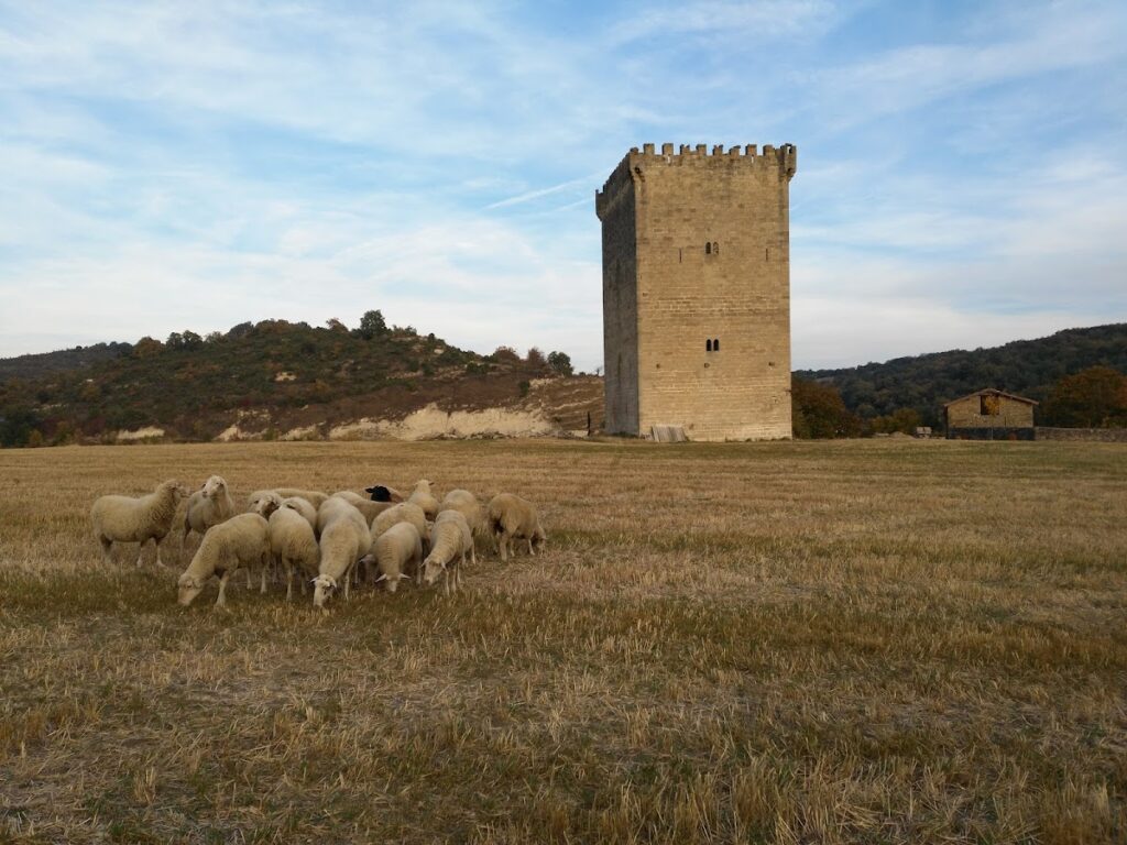 Torre-Palacio del Conde de Orgaz, Fontecha: A Fortified Tower and Palace Complex 2 Torre-Palacio del Conde de Orgaz, Fontecha