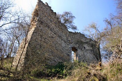 Domburg im Hakel: A Medieval Lowland Castle Ruin in Germany