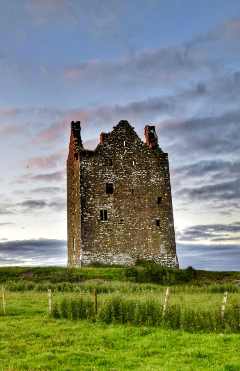 Oola Castle: A Late-Sixteenth-Century Tower House in Ireland