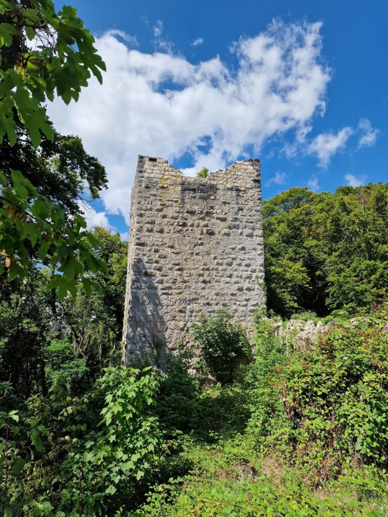 Burgruine Tachenstein: Medieval Castle Ruins in Riedenburg, Germany 2 Burgruine Tachenstein