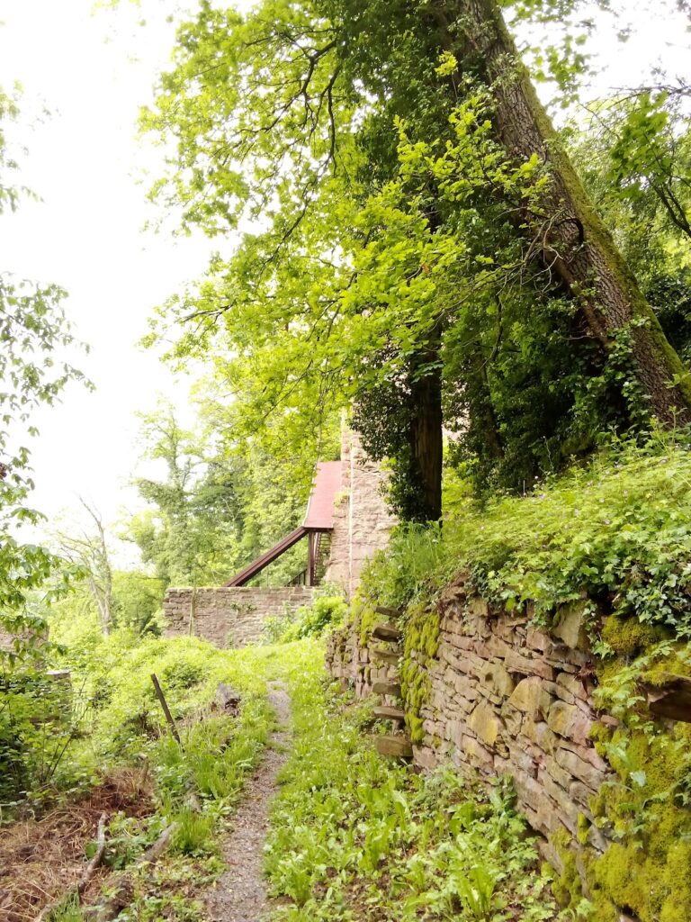 Burg Dauchstein: A Medieval Castle Above the Neckar in Germany 4 Burg Dauchstein