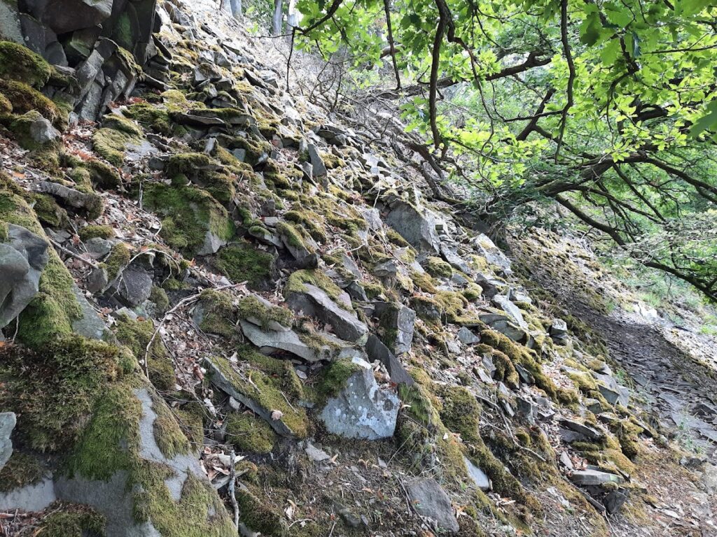 Hünselburg: An Early La Tène Hillfort in Germany 1 Hünselburg