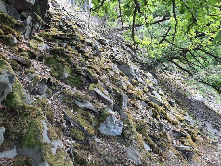 Hünselburg: An Early La Tène Hillfort in Germany