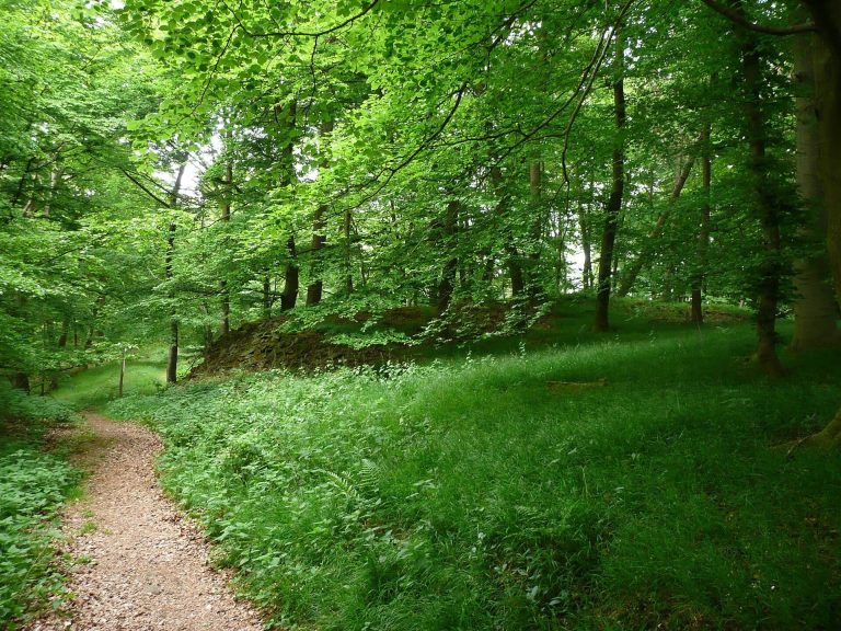 Hünselburg: An Early La Tène Hillfort in Germany