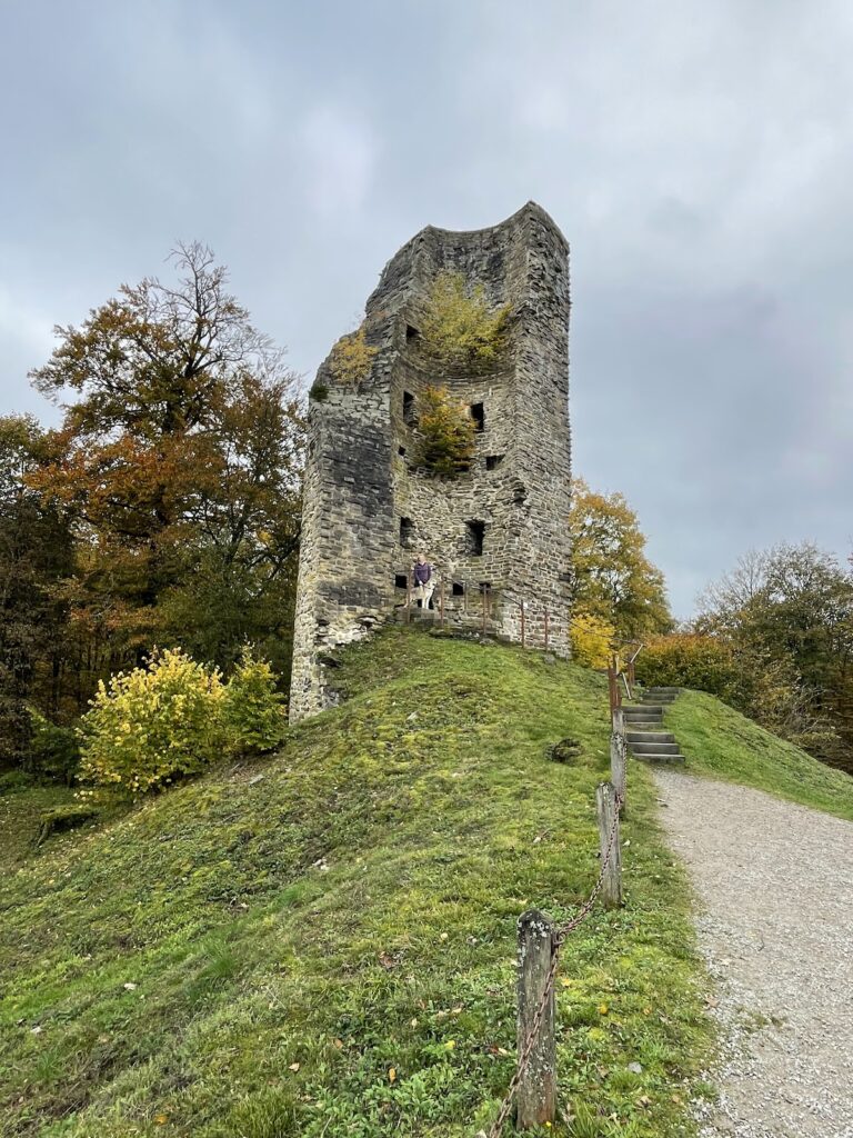 Waldenburg: A Medieval Hilltop Castle and Administrative Centre in Germany