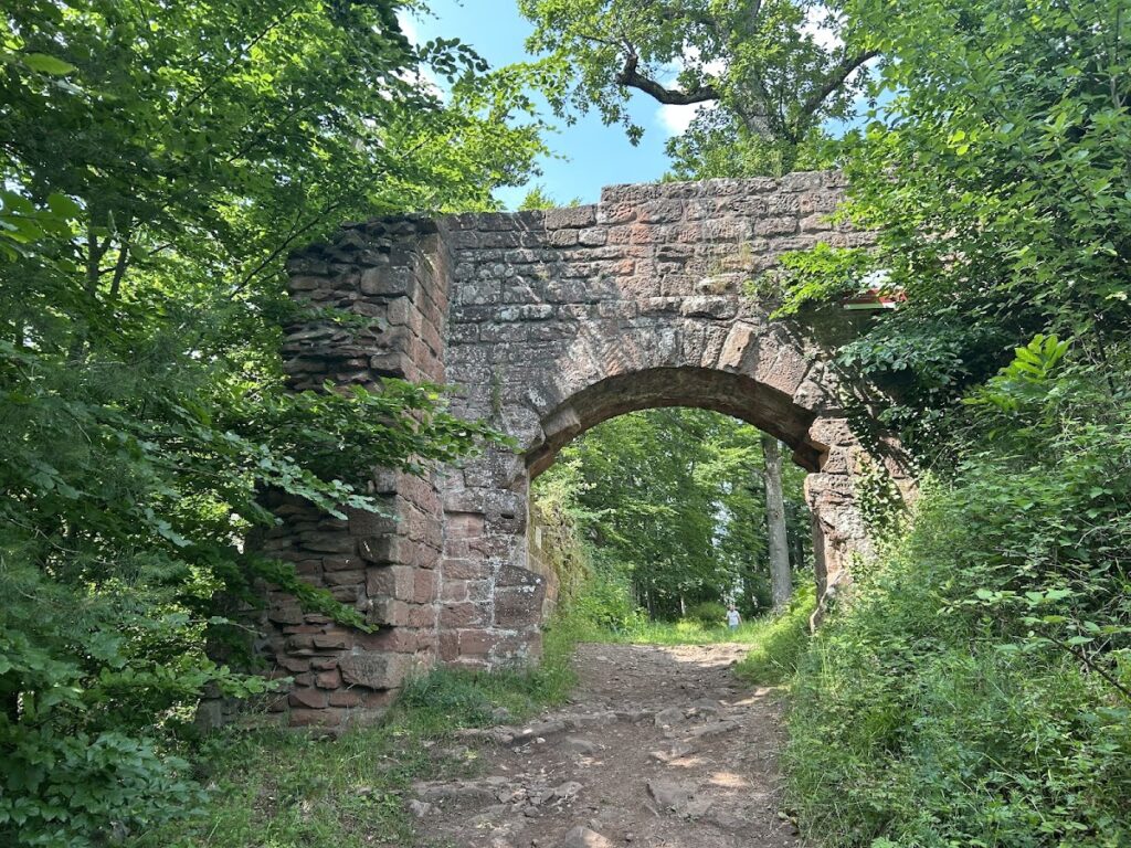 Guttenberg Castle: A Medieval Hill Fortress in Germany 4 Guttenberg Castle