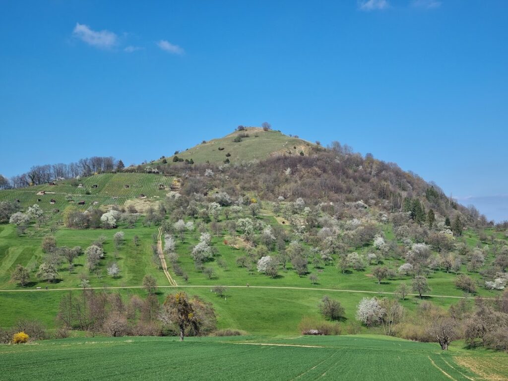 Burg Limburg: A Romanesque Hilltop Castle in Germany 1 Burg Limburg