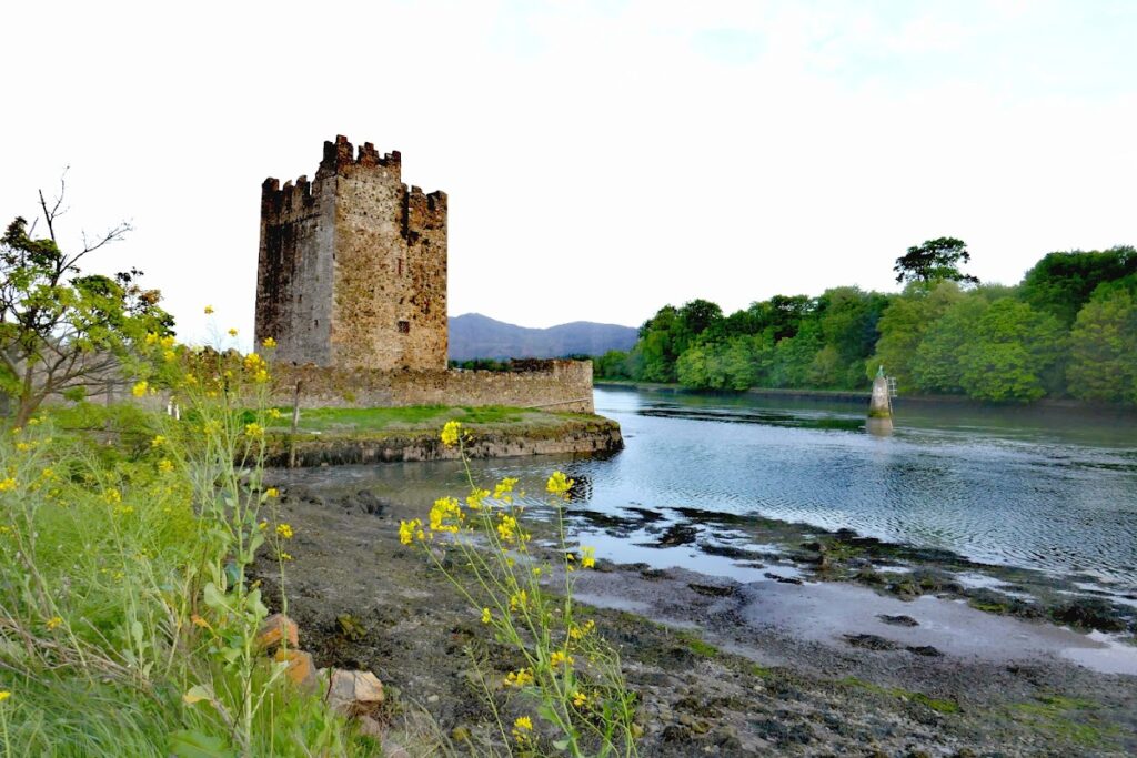 Narrow Water Castle: A Sixteenth-Century Tower House in County Down 1 Narrow Water Castle