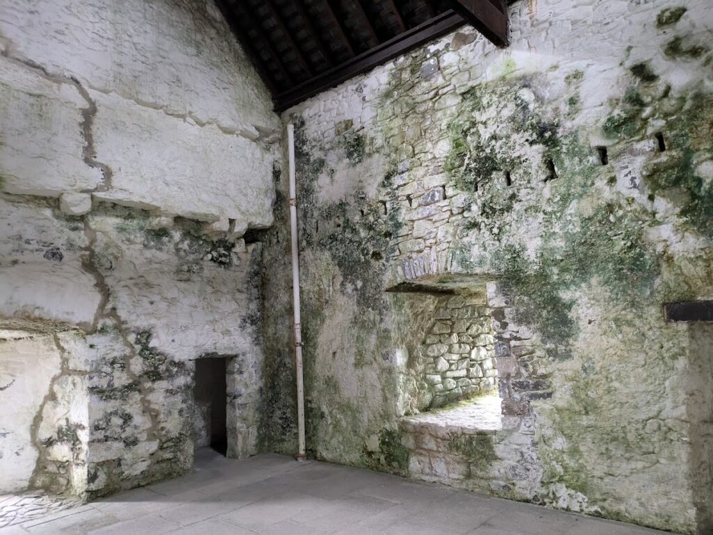 Narrow Water Castle: A Sixteenth-Century Tower House in County Down 4 Narrow Water Castle