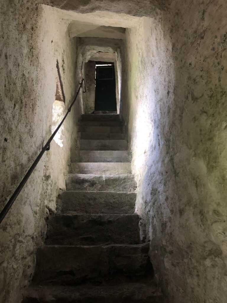 Narrow Water Castle: A Sixteenth-Century Tower House in County Down 5 Narrow Water Castle