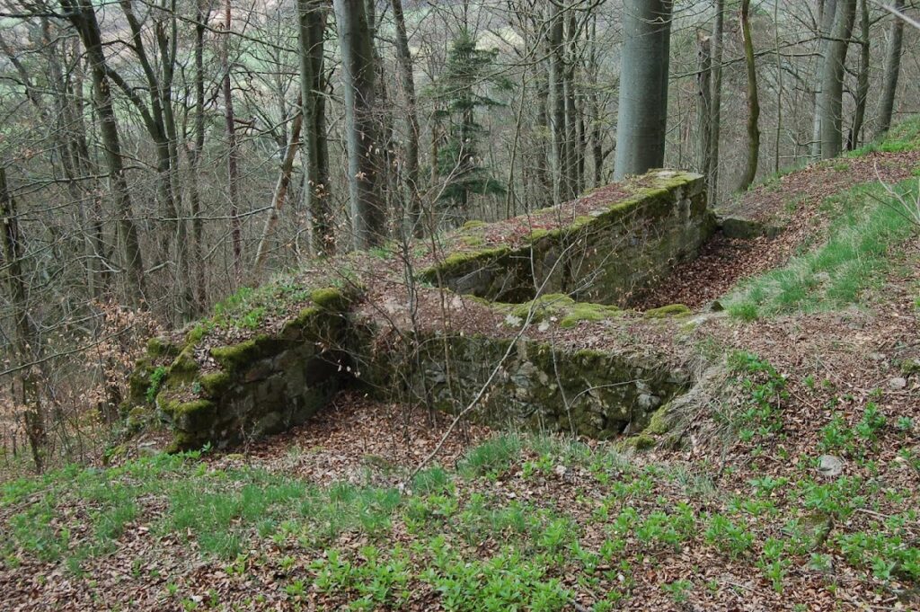 Burgstall Warberg: Medieval Hilltop Castle Site in Germany 1 Burgstall Warberg
