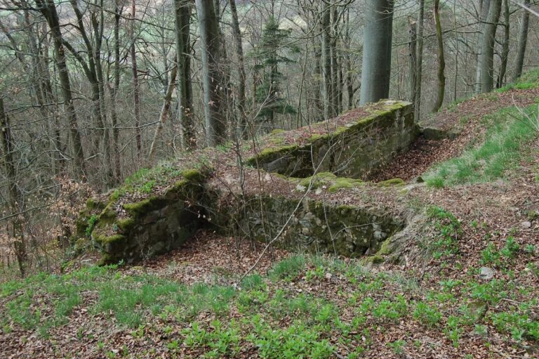 Burgstall Warberg: Medieval Hilltop Castle Site in Germany