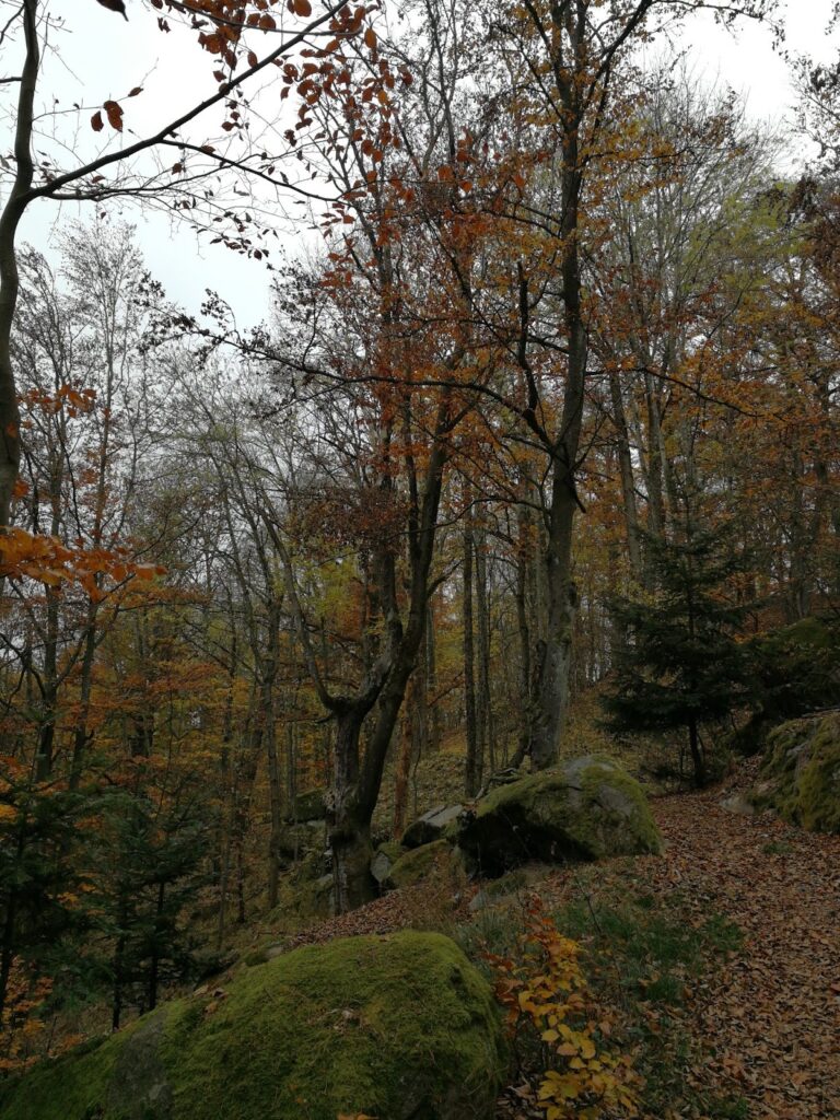 Burgstall Warberg: Medieval Hilltop Castle Site in Germany 2 Burgstall Warberg