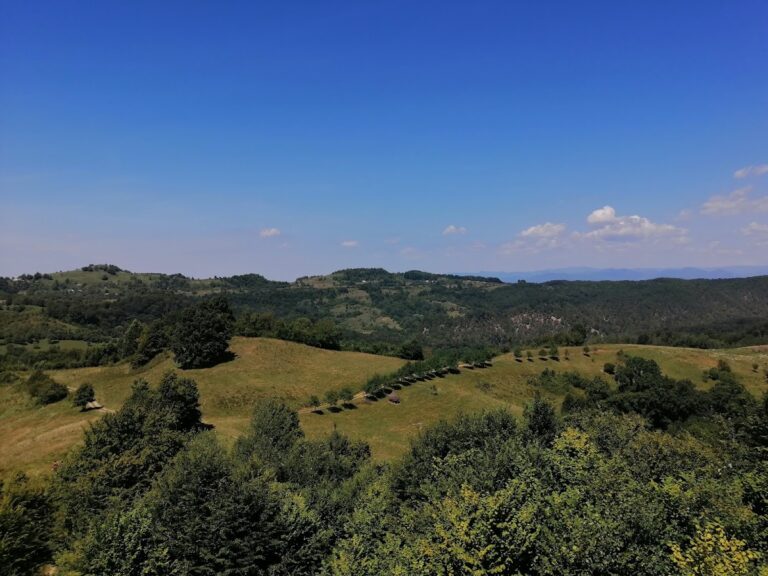 Chioar Fortress: A medieval fortress and regional stronghold in Remetea Chioarului