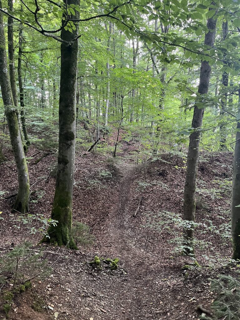 Römerschanze: A Roman and Medieval Fortification in Germany