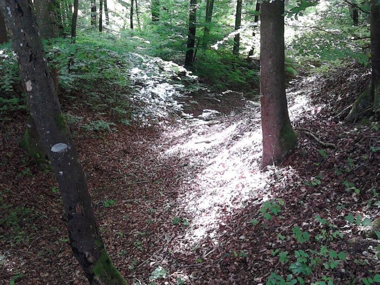 Römerschanze: A Roman and Medieval Fortification in Germany