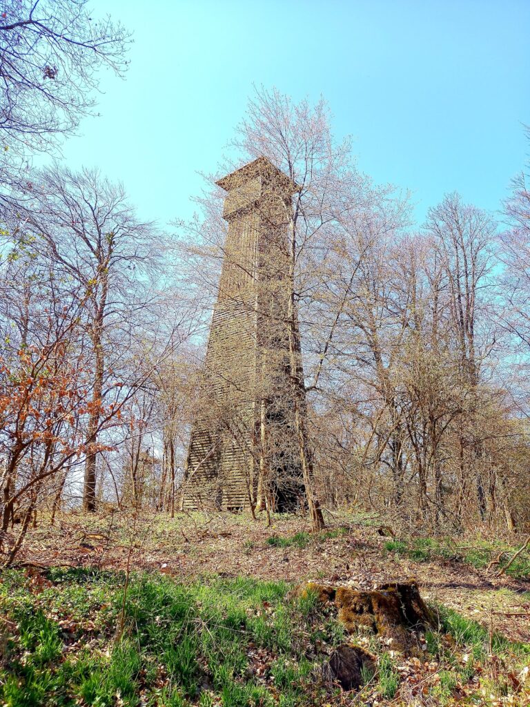 Altenburg Castle: An Iron Age Hillfort in Germany 3 Altenburg Castle