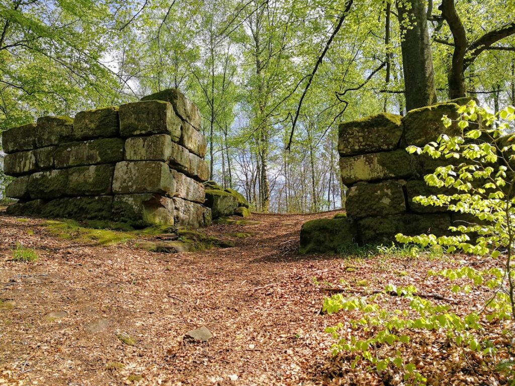 Heidelsburg: A Roman Fortification in Germany 1 Heidelsburg