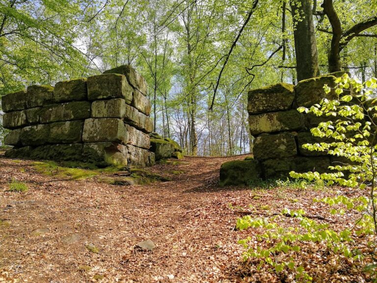 Heidelsburg: Roman Hilltop Fort and Enclosure in Waldfischbach-Burgalben