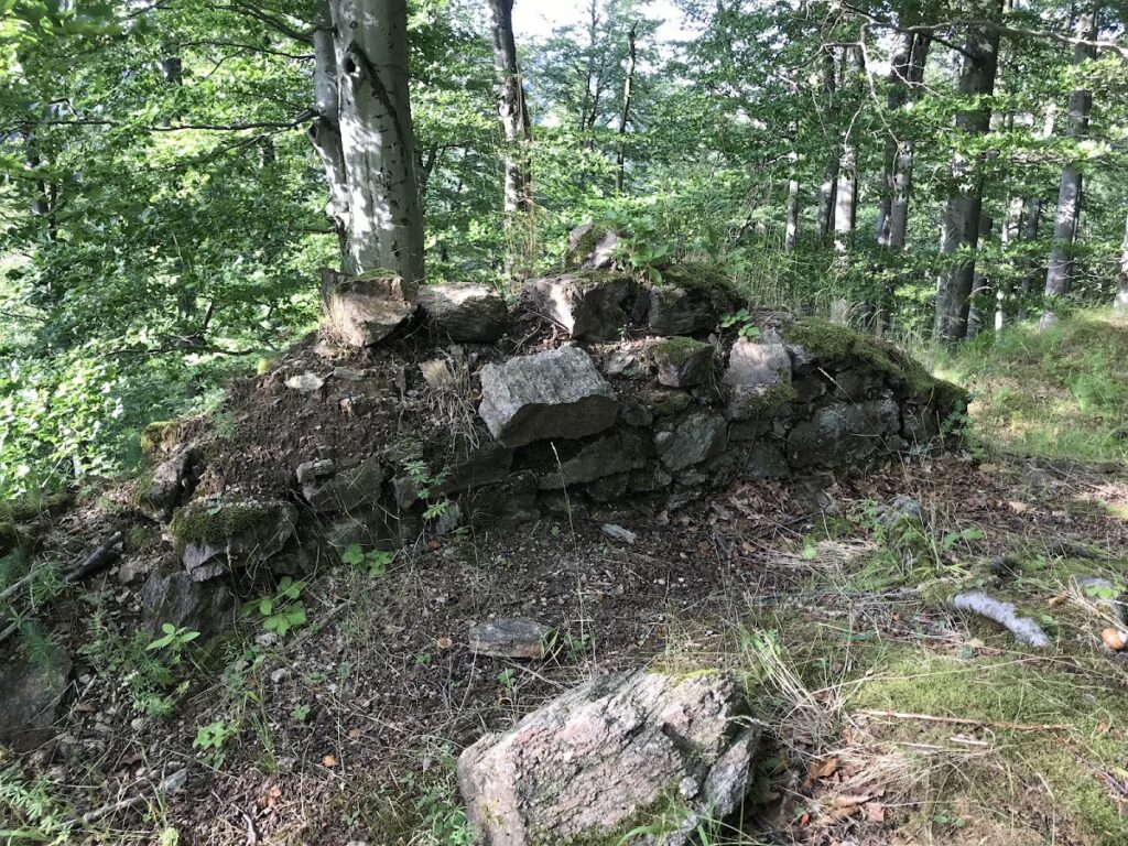 Nový Žeberk: A Medieval Castle Ruin in Czechia 1 Nový Žeberk