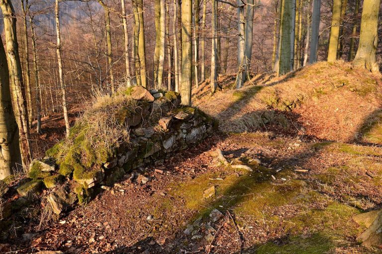 Nový Žeberk: A Medieval Castle Ruin in Czechia
