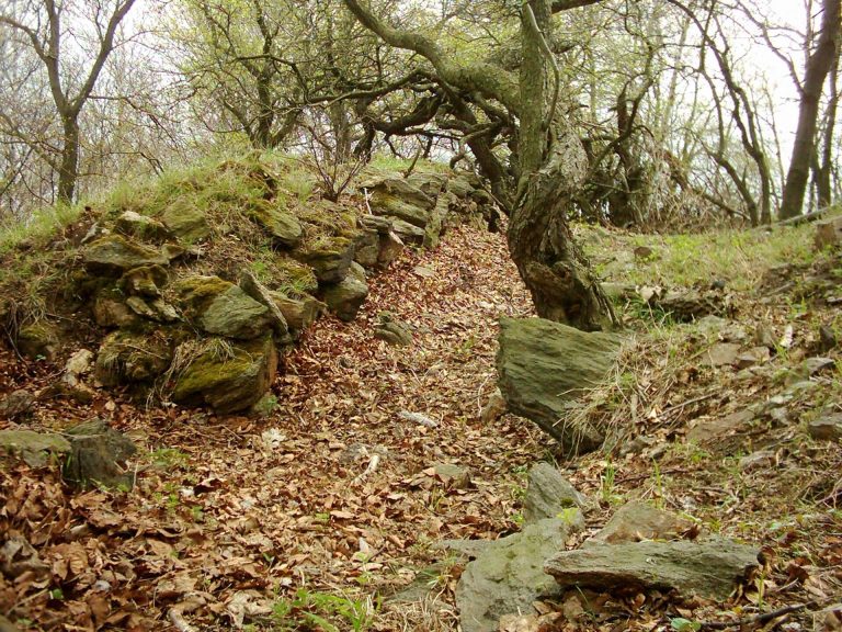 Starý Žeberk: A Medieval Hilltop Castle in Czechia