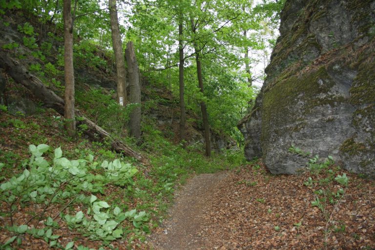 Habichtsburg: A Medieval Castle in Germany
