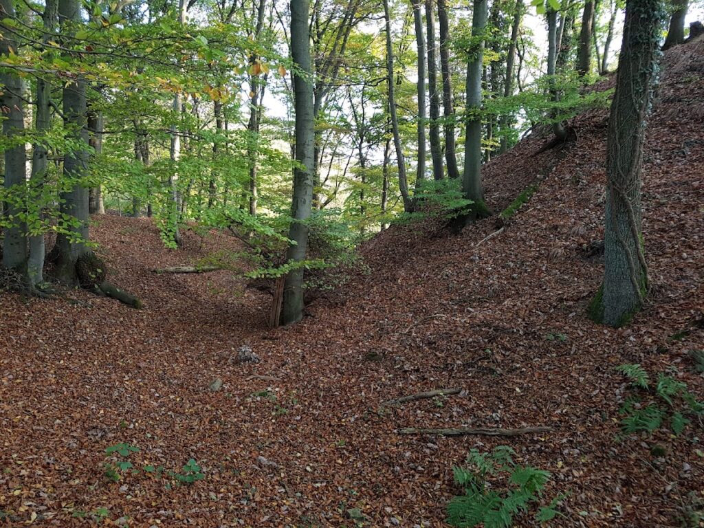 Schanzenköpfle: A High-Medieval Castle Ruin in Germany 1 Schanzenköpfle