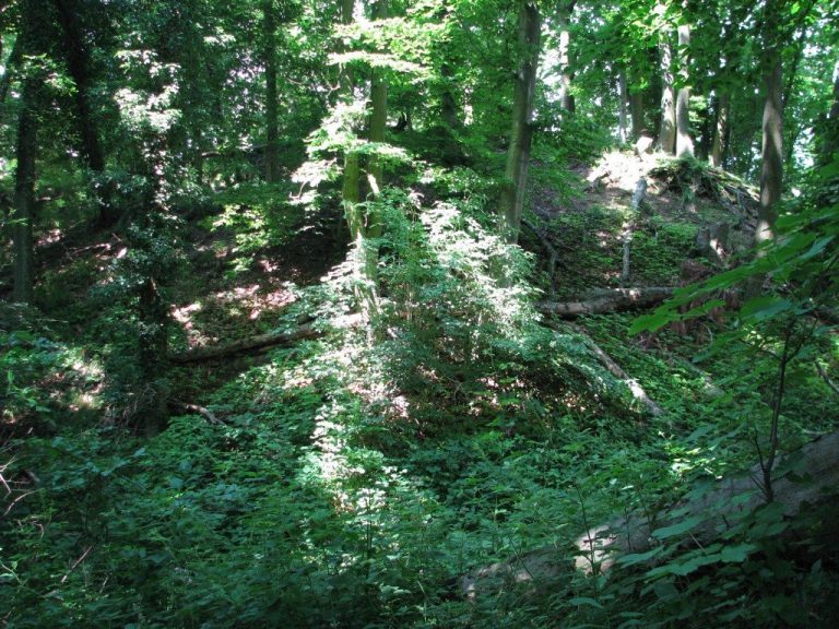 Schanzenköpfle: A High-Medieval Castle Ruin in Germany
