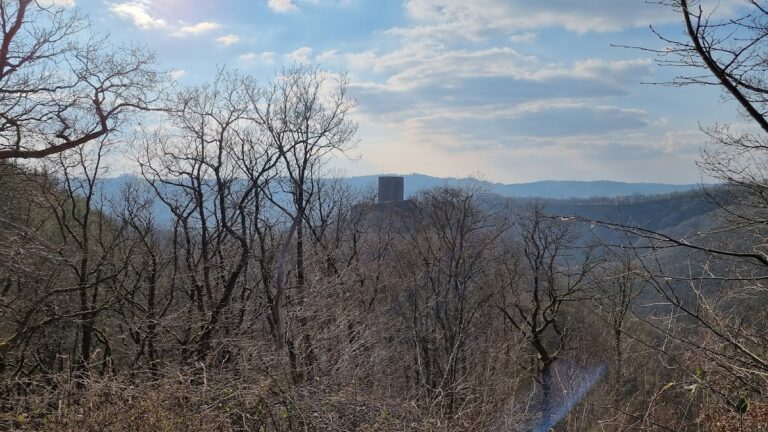 Neuerburg (Wied): A Medieval Hilltop Castle Ruin in Germany