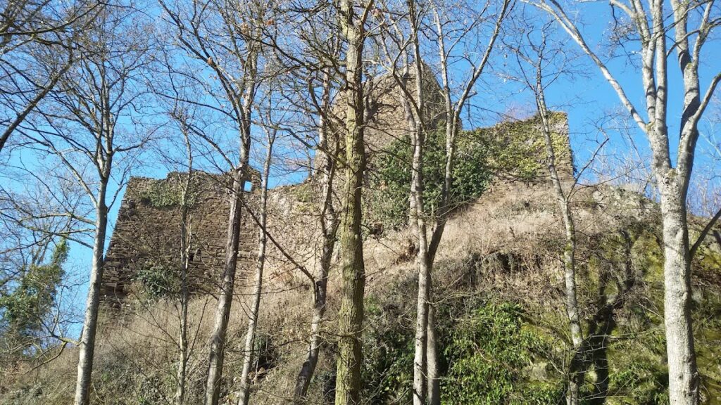 Neuerburg (Wied): A Medieval Hilltop Castle Ruin in Germany 2 Neuerburg (Wied)