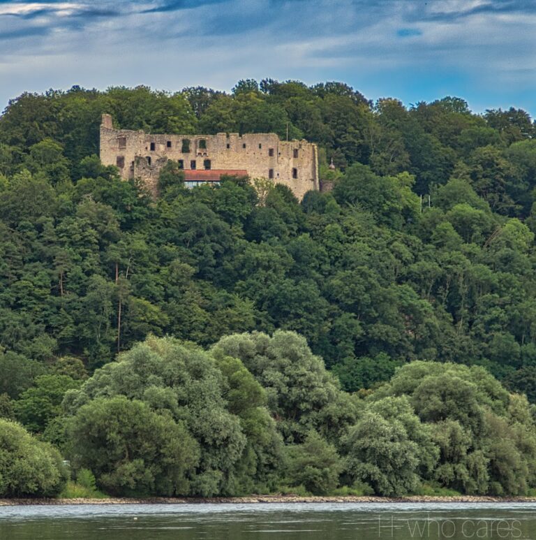 Hilgartsberg Castle Ruins: A Medieval Hilltop Castle in Germany