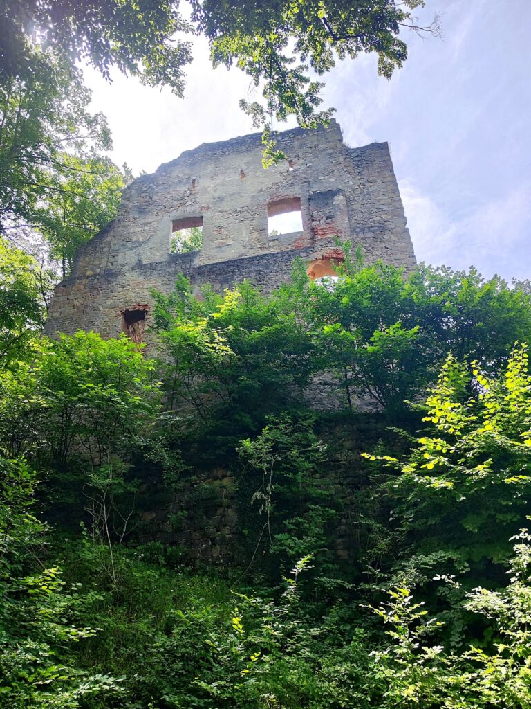 Hilgartsberg Castle Ruins: A Medieval Hilltop Castle in Germany 5 Burgruine Hilgartsberg