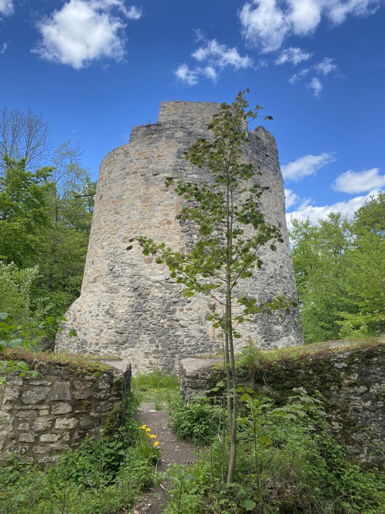 Iburg: A Ruined Saxon and Medieval Castle in Germany