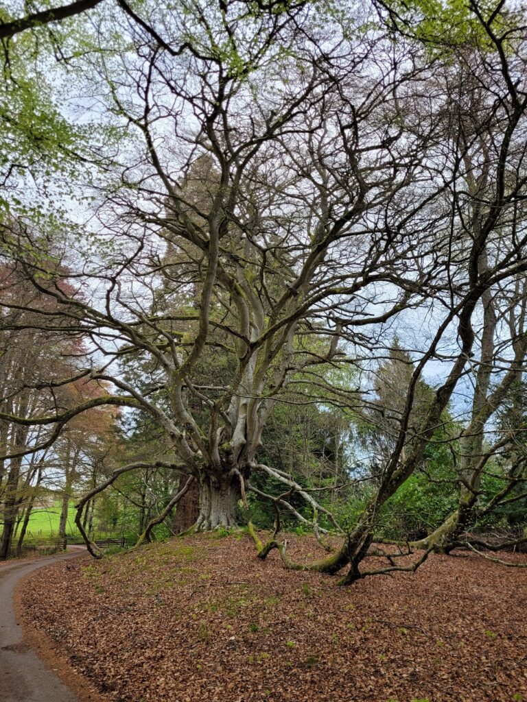 Kilravock Castle: Historic Seat of Clan Rose in Scotland 2 Kilravock Castle
