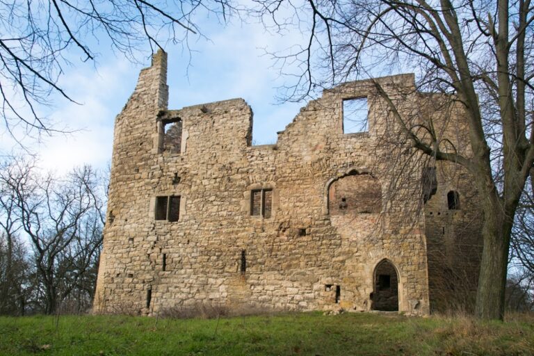 Obere Sachsenburg: A Medieval Spur Castle Ruin in Germany