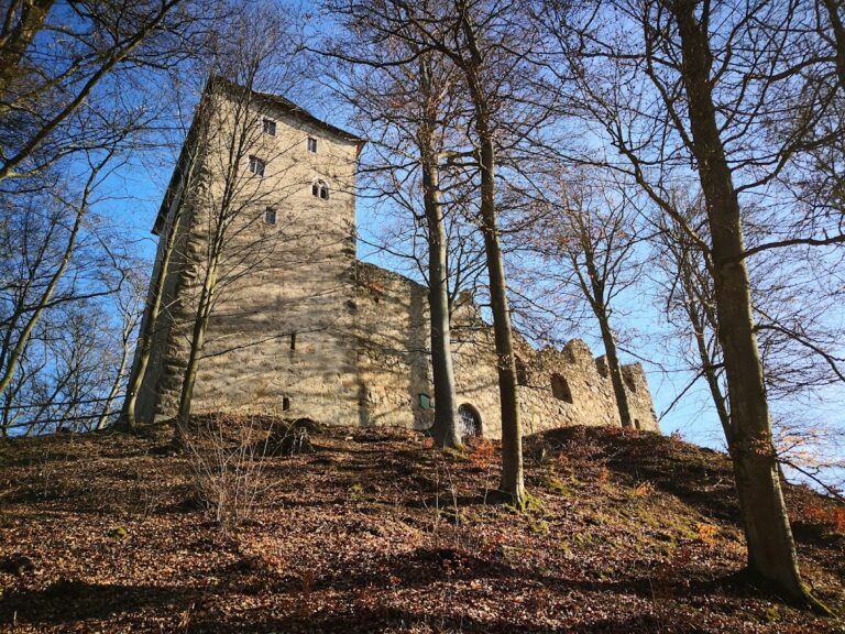 Burgruine Stockenfels: The Ruined Center of a Bavarian Lordship