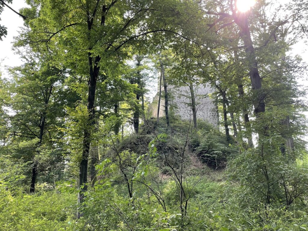 Burgruine Stockenfels: The Ruined Center of a Bavarian Lordship 4 Burgruine Stockenfels