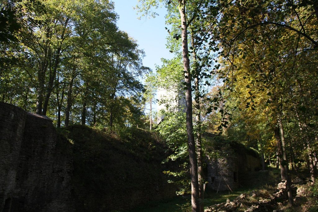 Osterburg Castle Ruin: A Medieval Administrative Hill Castle in Germany 2 Osterburg castle ruin