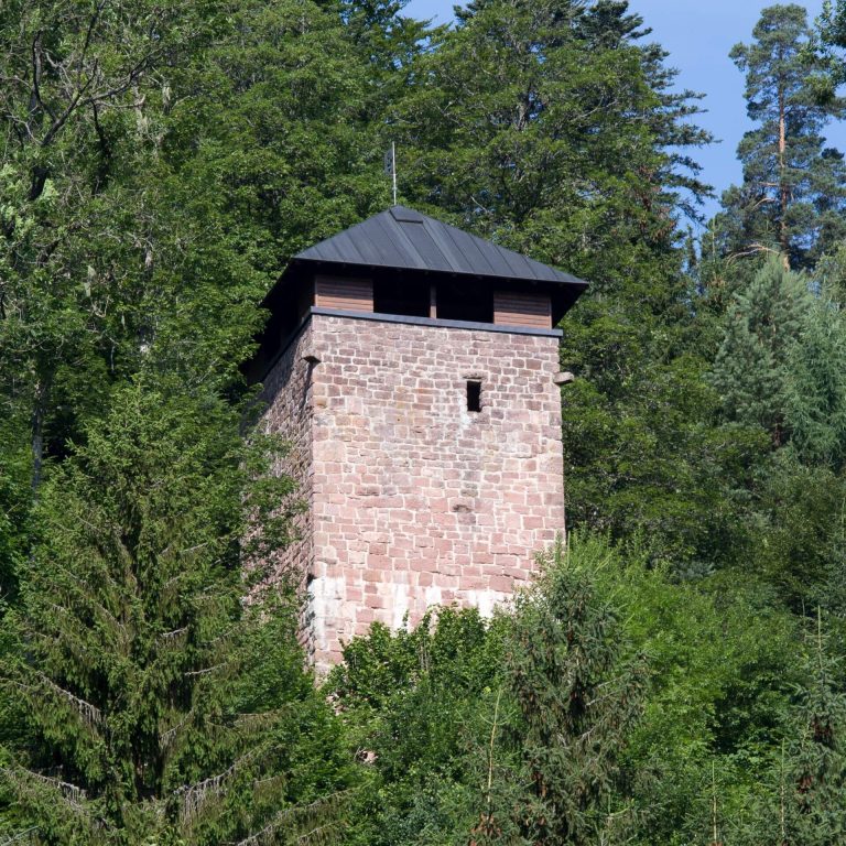 Fautsburg: A Medieval Hill Castle in Germany