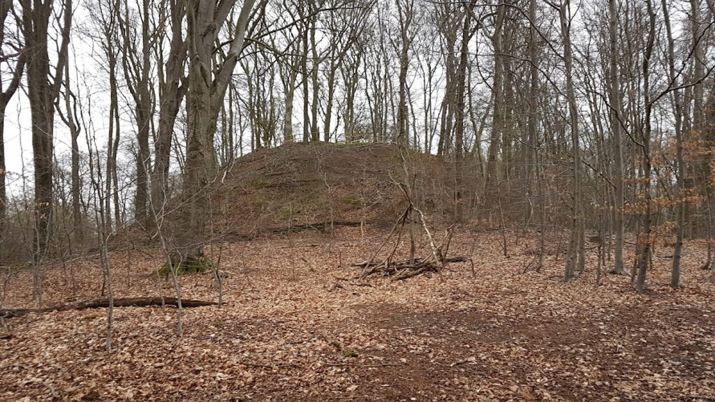 Motte Aldeberg: A High-Medieval Tower-Mound Castle in Germany 1 Motte Aldeberg