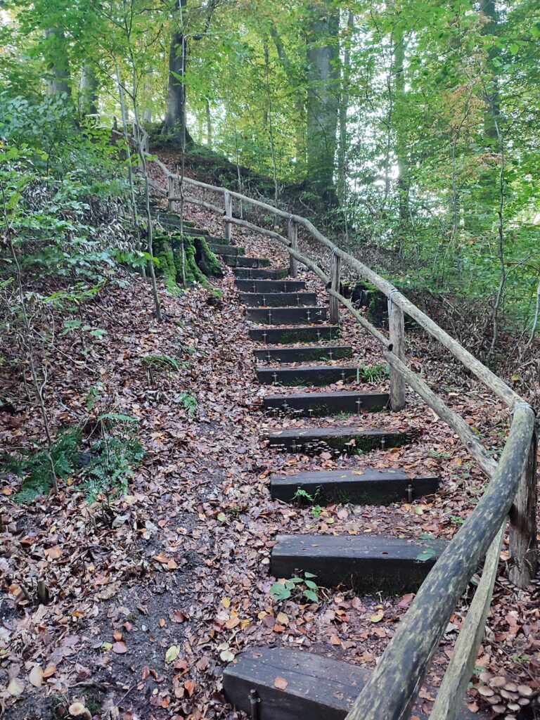 Motte Aldeberg: A High-Medieval Tower-Mound Castle in Germany 2 Motte Aldeberg