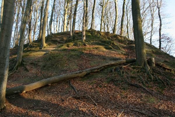 Motte Aldeberg: A High-Medieval Tower-Mound Castle in Germany