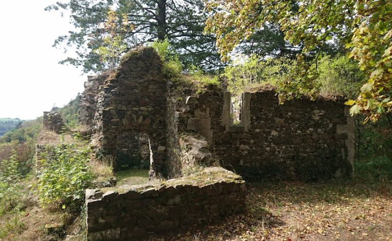 Burgruine Hohenberneck: A Late-Medieval Administrative Castle in Germany