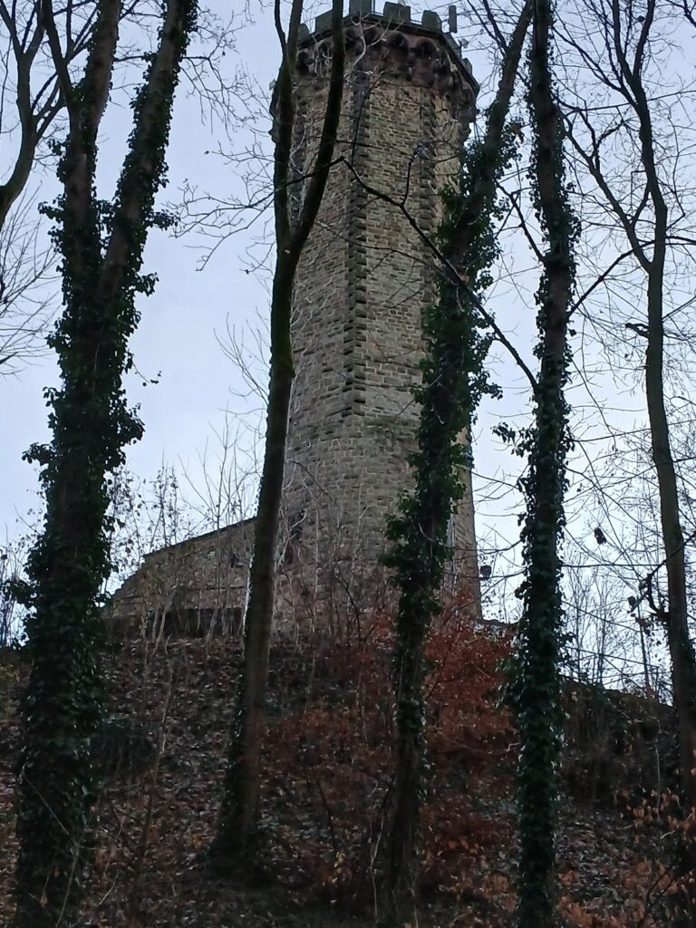 Schlossberg Castle: A Historic Fortress in Forbach, France 5 Château du Schlossberg