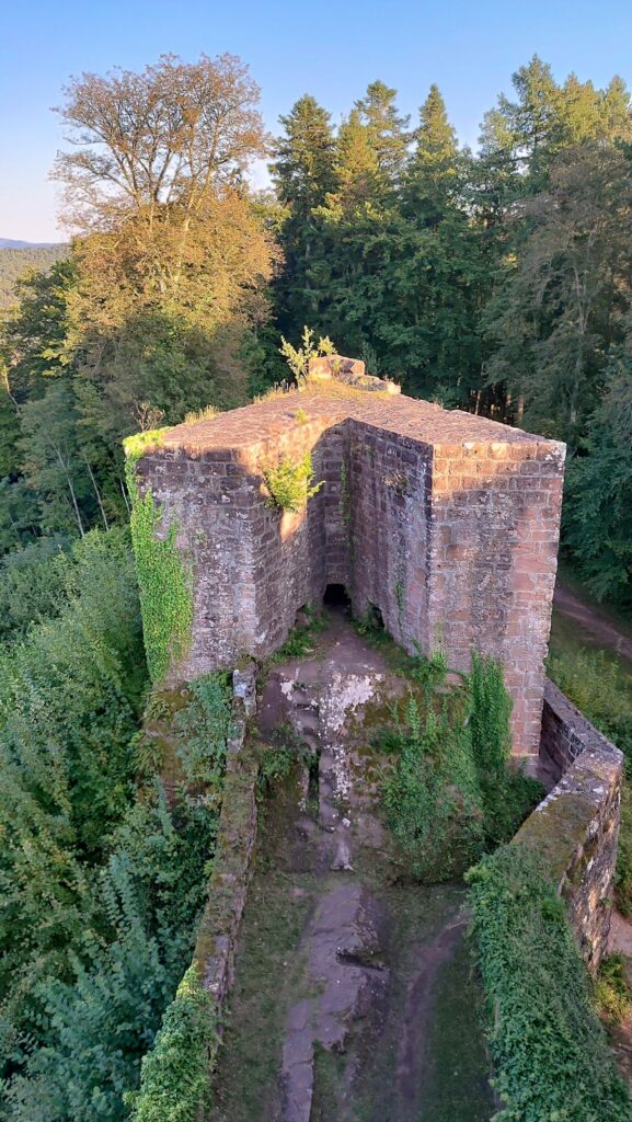 Castle Neudahn: A Medieval Rock Castle and Road Fortress in Germany 3 Castle Neudahn