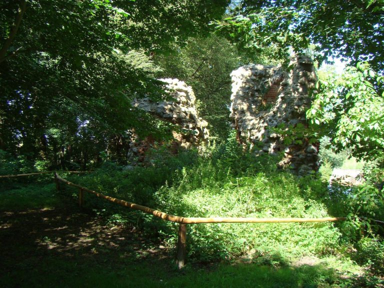 Grubenhagen Castle (Vollrathsruhe): A Medieval Lowland Castle in Germany