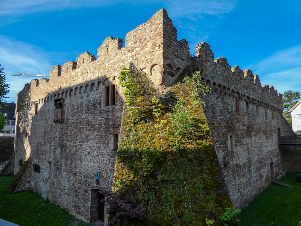 Tiefburg Handschuhsheim: A Medieval Water Castle in Heidelberg 2 Tiefburg Handschuhsheim
